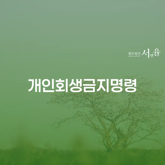 면책확인의소 채무조정제도을 이용하여 잘 하는 변호사