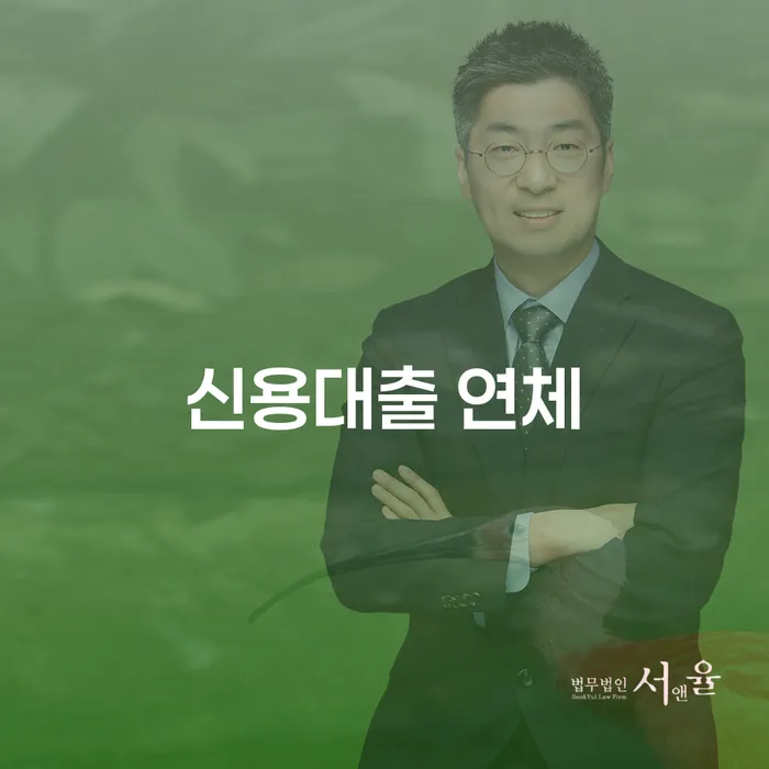 20년 대출 연체 시 개인회생 제도 관련
