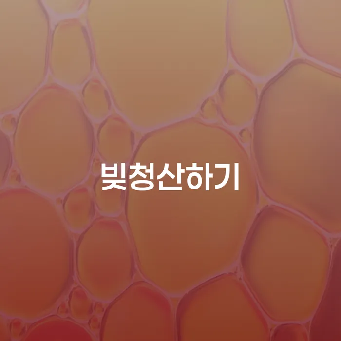 개인회생전문변호사 연체 채무 신속해결방법 확실한 진행