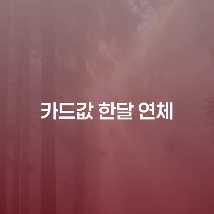 면책 대출 연체 개인회생 잘 하는 변호사