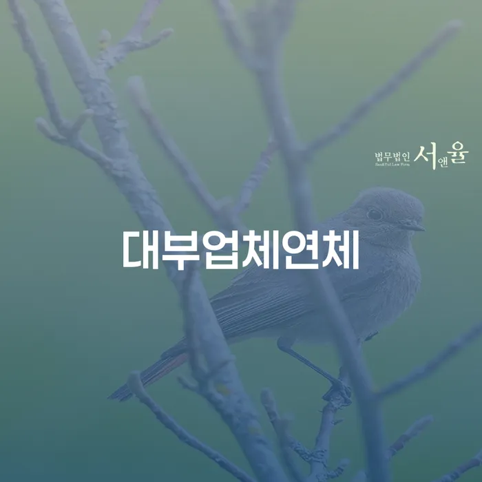 보은군 채무상담 카드빚 연체 잘 하는 법무법인