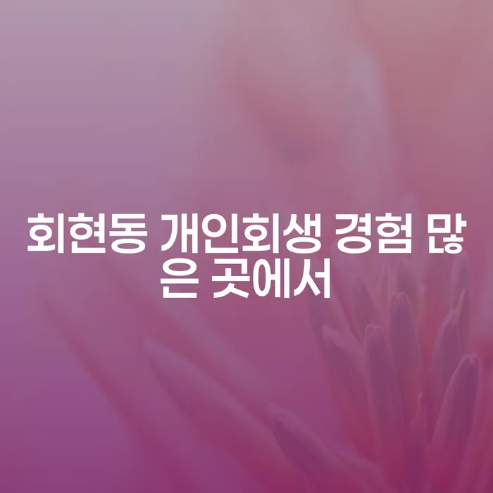 회현동 개인회생 경험 많은 곳에서