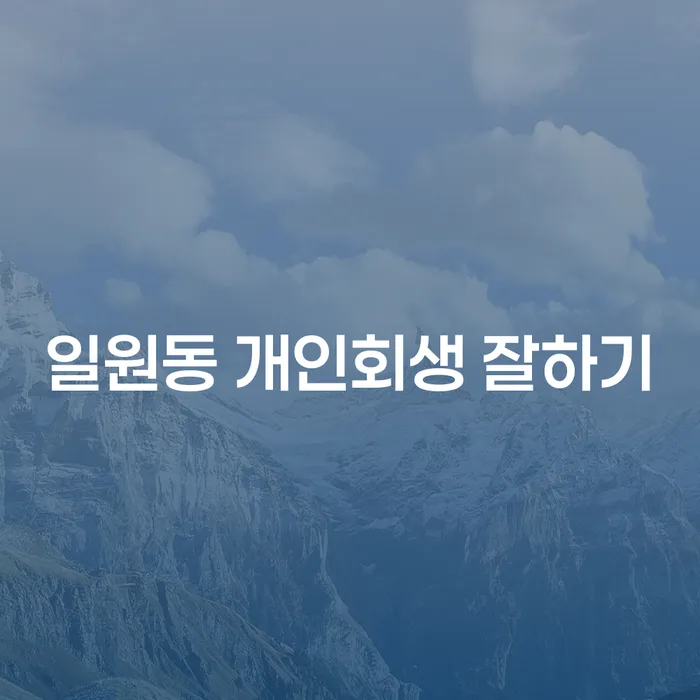 일원동 개인회생 잘하기