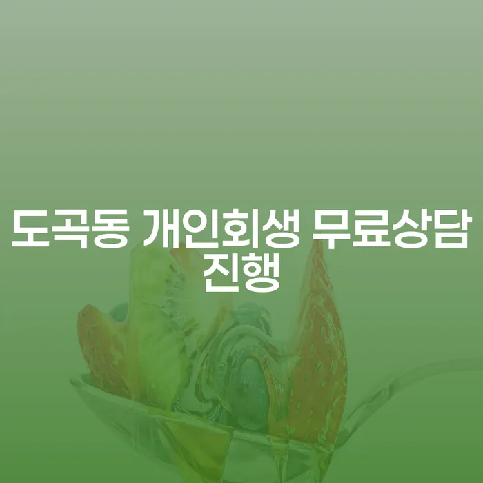 도곡동 개인회생 무료상담진행