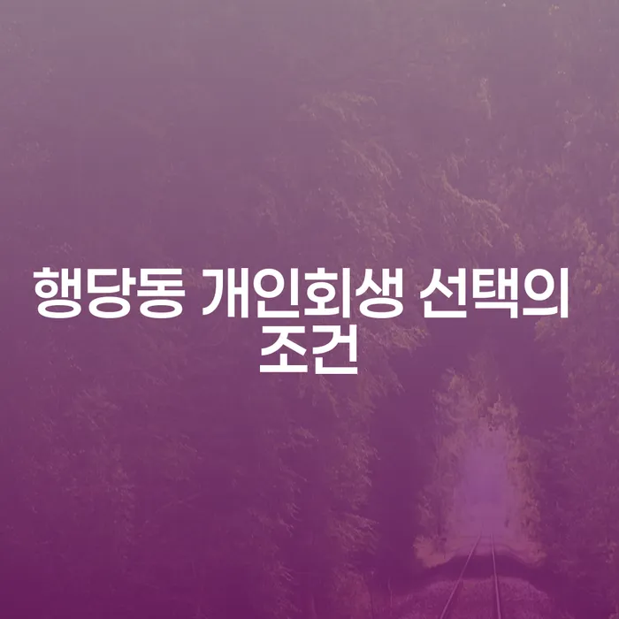 행당동 개인회생 선택의 조건