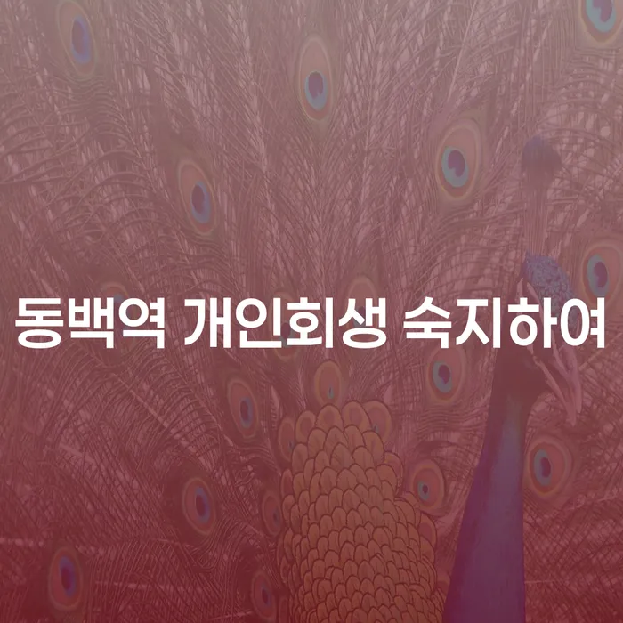 동백역 개인회생 숙지하여