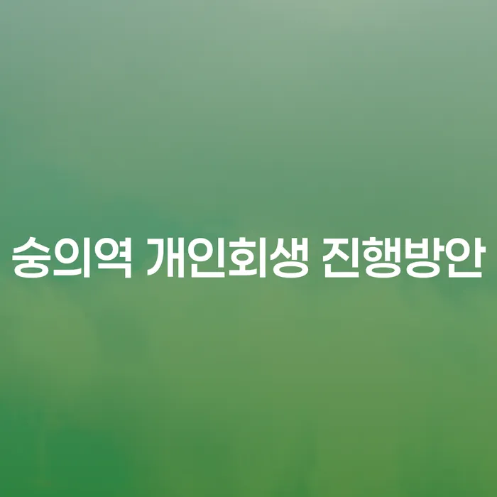 숭의역 개인회생 진행방안
