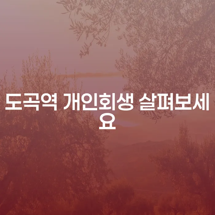 도곡역 개인회생 살펴보세요