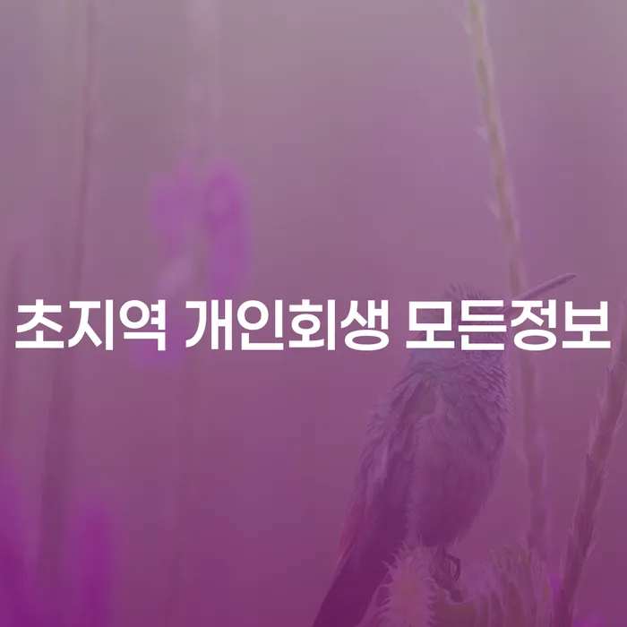 초지역 개인회생 모든정보