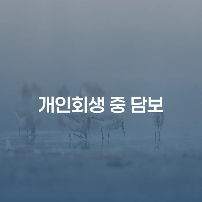 개인회생 중 담보, 어떻게 해결할 수 있을까요?