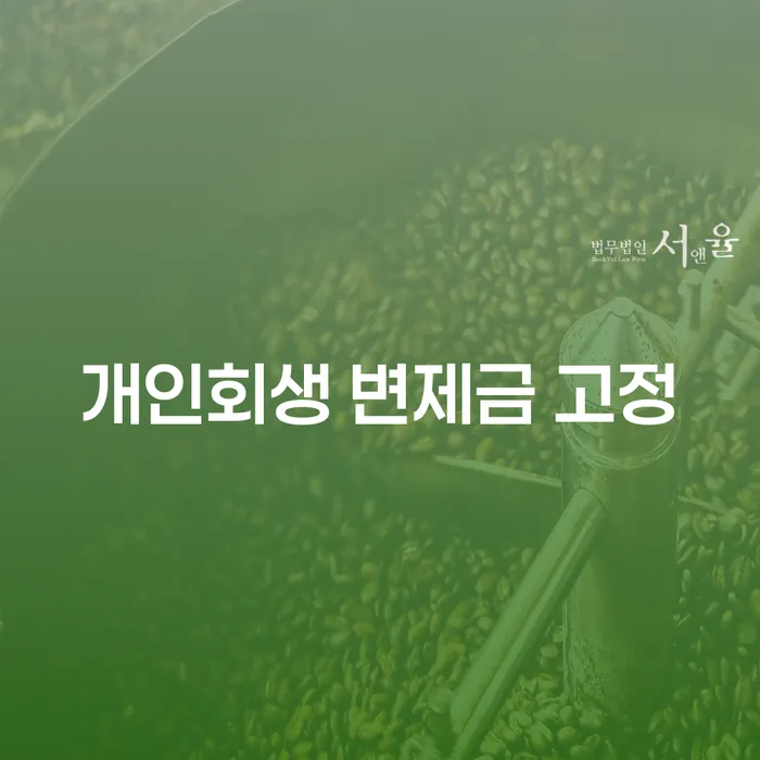 개인회생 변제금 고정, 어떻게 해야 할까요?