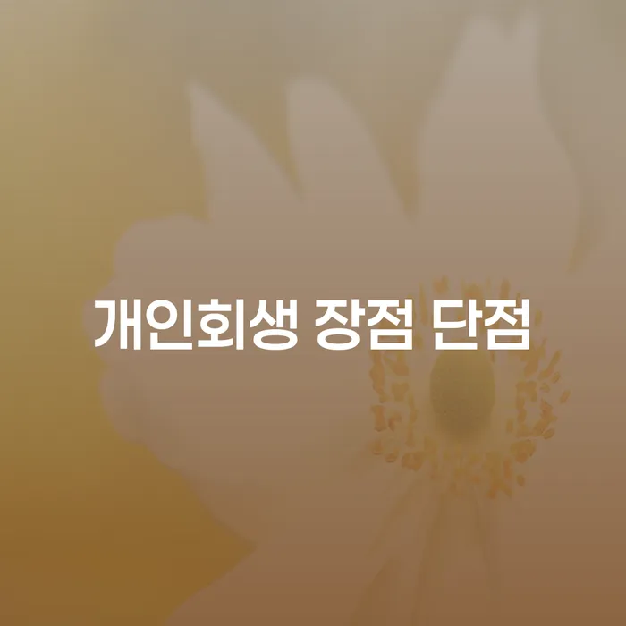 염리동 개인회생 장점과 절차 이해하기