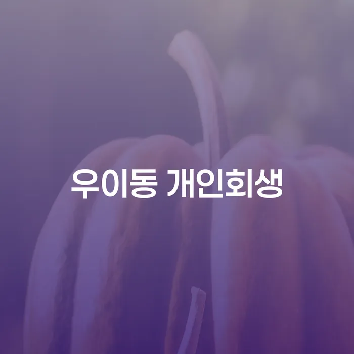 우이동 개인회생, 어떻게 신청하고 효과를 볼 수 있을까요?