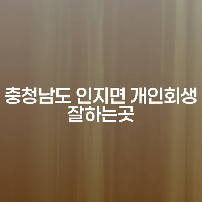 충청남도 인지면에서 개인회생을 잘하는 곳은 어디일까요?