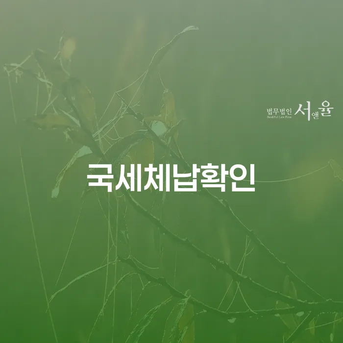 국세체납확인과 개인회생면책신청, 어떻게 준비해야 할까요?